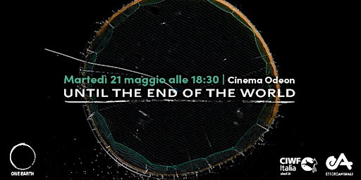 Hauptbild für Until the end of the world
