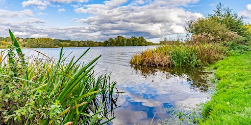 Norfolk Netwalking @ Whitlingham Country Park primary image