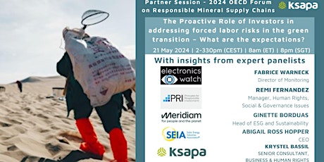 Immagine principale di The Role of Investors in addressing forced labor in the green transition 