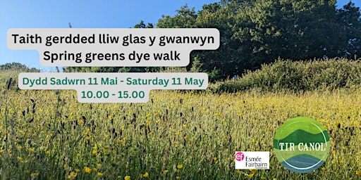 Taith gerdded lliw glas y gwanwyn - Spring greens dye walk primary image