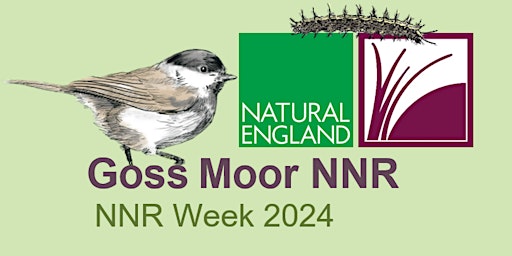Imagem principal do evento NNR Week 2024 - Goss Moor Craft in Nature Day