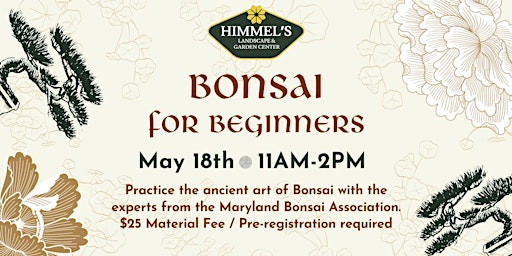 Image principale de Bonsai for beginners