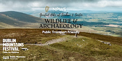 Primaire afbeelding van Wildlife & Archaeology: Guided Hike at Seefin by NPWS Wicklow