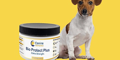 Imagen principal de Bio Protect Plus Reviews: Discover the Ultimate Solution for Your Dog's Gut