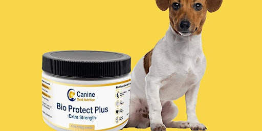 Imagem principal do evento Bio Protect Plus Reviews: Discover the Ultimate Solution for Your Dog's Gut