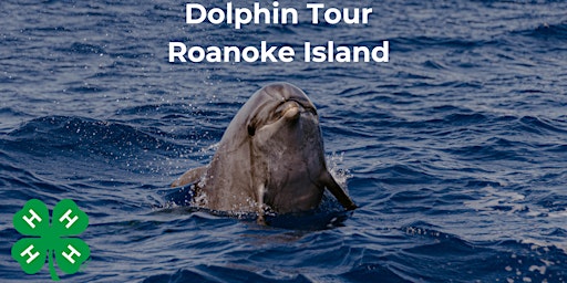 Imagem principal do evento Wildlife: Dolphin Tour
