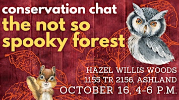 Hauptbild für Conservation Chat: The Not So Spooky Forest