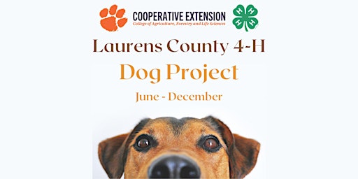 Primaire afbeelding van Laurens County 4-H Dog Project
