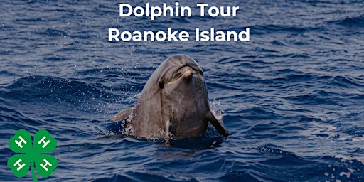 Primaire afbeelding van Wildlife: Dolphin Tour