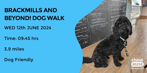 Immagine principale di BRACKMILLS AND BEYOND  DOG PACK WALK | 3.9 MILES | MODERATE | NORTHANTS 