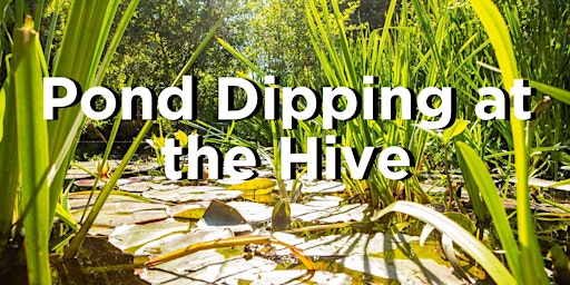 Imagem principal do evento Pond Dipping at The Hive