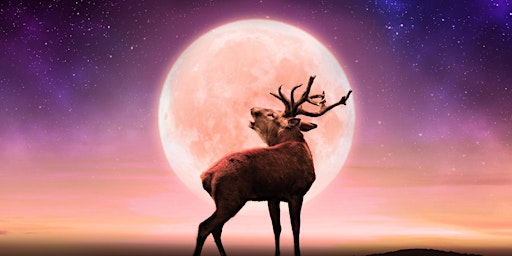 Connect to Abundance: A Buck Full Moon Cacao Ceremony primary image