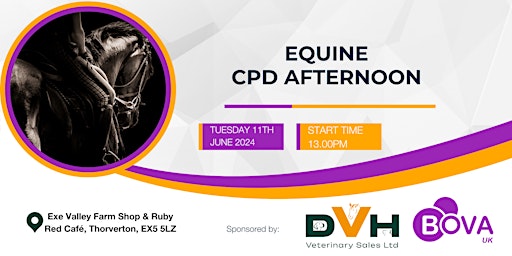 Hauptbild für Equine CPD afternoon