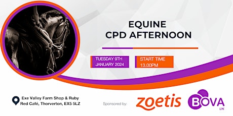 Equine CPD afternoon