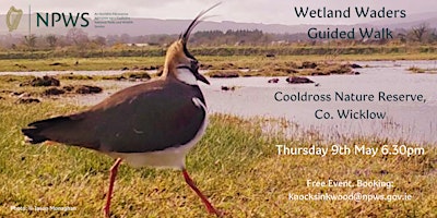 Wetland Waders Guided Walk at Cooldross