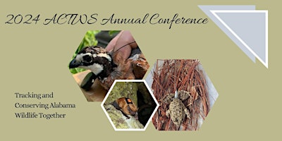 Imagem principal de 2024 ACTWS Annual Conference