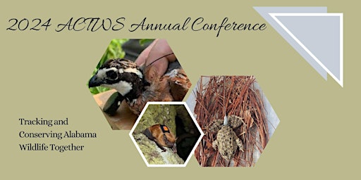 Imagem principal do evento 2024 ACTWS Annual Conference