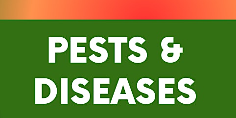 Primaire afbeelding van Pests & Diseases Workshop