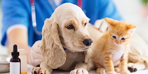Imagem principal do evento Pet First Aid + CPR for Pet Parents