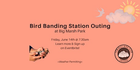 Bird Banding Station Outing with Feminist Bird Club Chicago