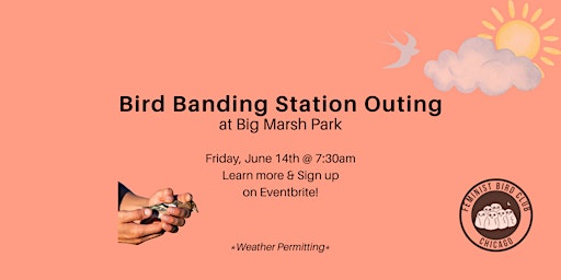 Imagem principal de Bird Banding Station Outing with Feminist Bird Club Chicago