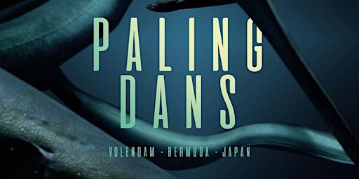 Palingdans primary image