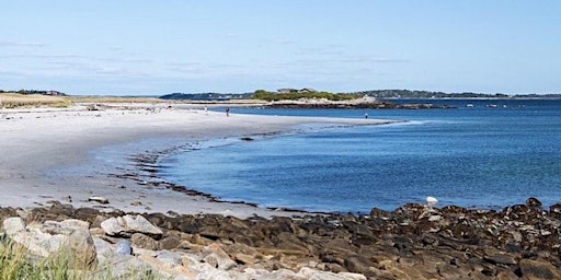 Coastal Calm: A Day of Mindfulness and Movement  primärbild
