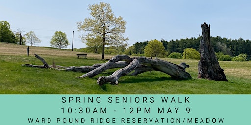 Imagem principal do evento Spring Seniors Walk