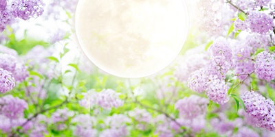 Flower Moon Garden Party  primärbild