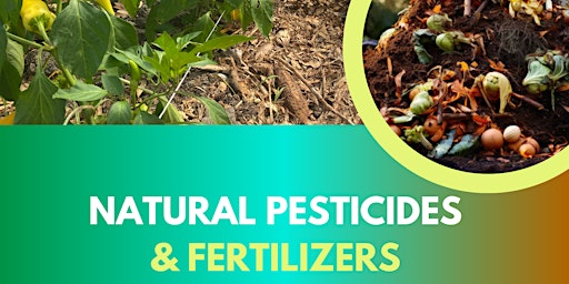 Imagem principal do evento Natural Pesticides and Fertilizers