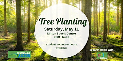 Imagem principal do evento Tree Planting