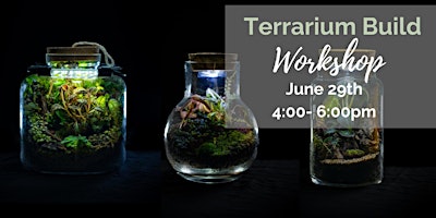 Imagem principal do evento Glass Gardens: Terrarium Crafting Experience