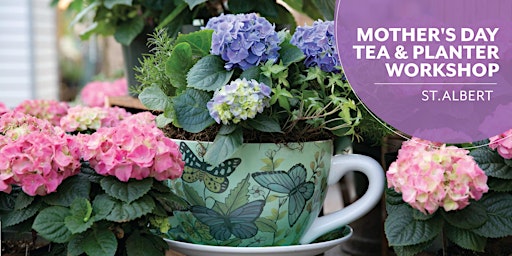 Imagen principal de Mother's Day Tea & Planter  | Salisbury Greenhouse | Enjoy | St. Albert