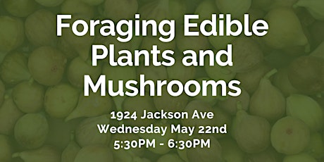 Foraging Edible Plants and Mushrooms
