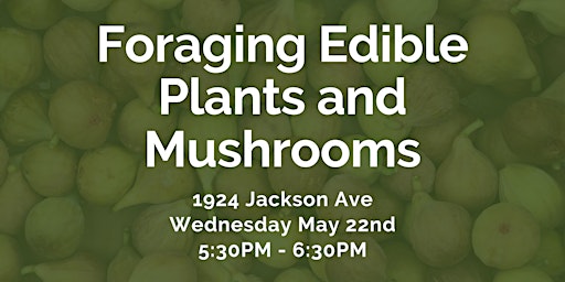 Image principale de Foraging Edible Plants and Mushrooms