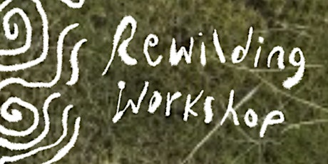 Herb Walk + Rewilding Workshop