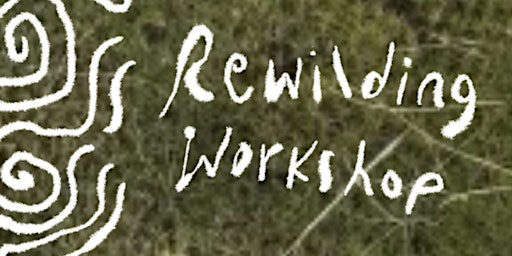 Hauptbild für Herb Walk + Rewilding Workshop