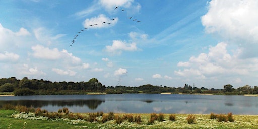 Imagem principal do evento Testwood Lakes Wildlife Watch-  Birds Bonanza