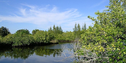 EcoWalk: Unique Preserves of Sarasota County - Curry Creek East primary image