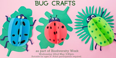 Biodiversity Week: Bug Crafts for ages 3+ primary image