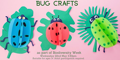 Biodiversity Week: Bug Crafts for ages 3+