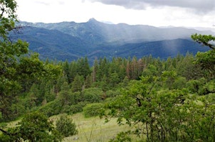 Hauptbild für Greensprings Loop Trail