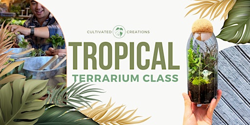 Imagem principal do evento Tropical Terrarium Night