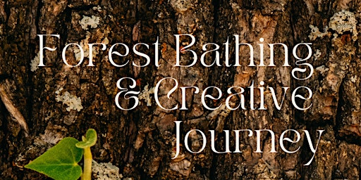 Hauptbild für FOREST BATHING & CREATIVE JOURNEY
