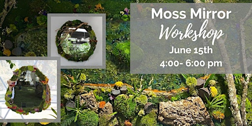 Moss Mirror Workshop  primärbild