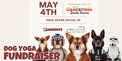 Imagem principal do evento Dog Yoga Fundraiser