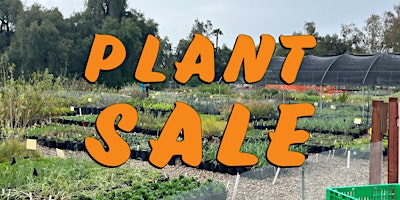 Imagem principal do evento Plant Sale | California native - Mediterranean - Succulents