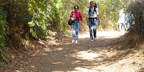 CANCELLED Thanksgiving Wobble Walk primary image