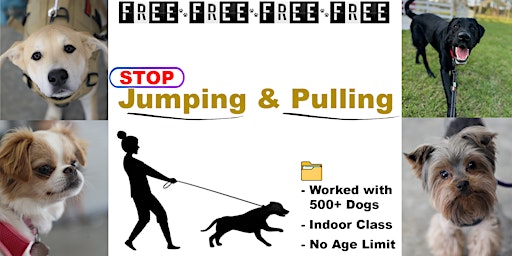 Imagem principal de STOP Jumping & Pulling (Dog Training Class)