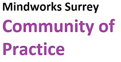 Imagen principal de Community of Practice: The launch of Risk Support in Surrey